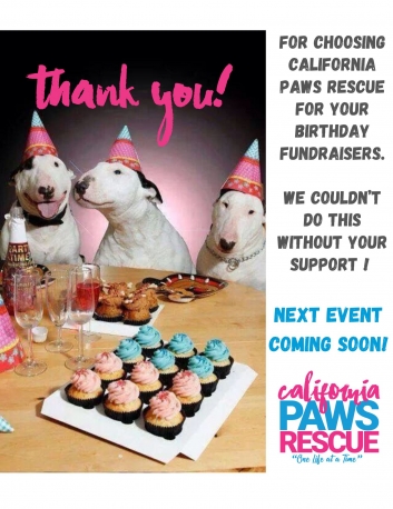 Thank You For the Birthday Fundraisers!